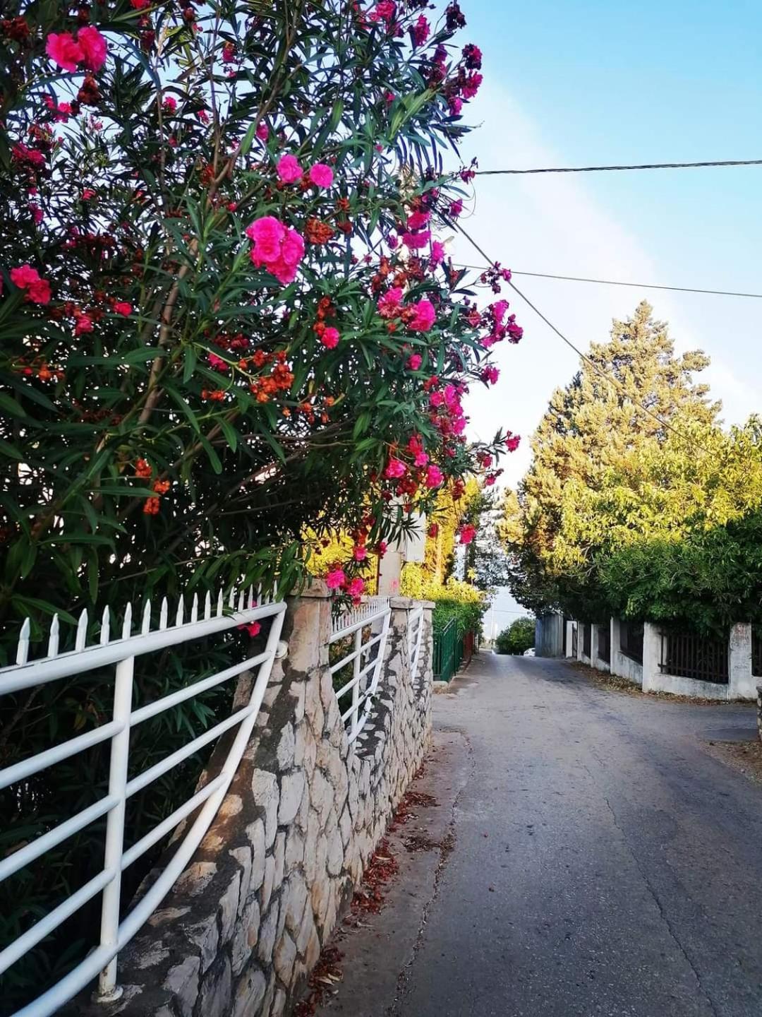 Apartmani Ljubica Utjeha Dış mekan fotoğraf